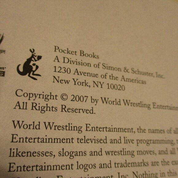 WWE 2007 Dave Batista Medium Black White Graphic WWF Wrestling Book - Picture 5 of 8